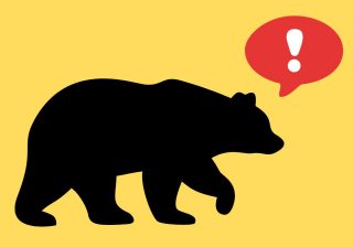 クマに出遭ってしまったら？「万が一」に命を守るための正しい対処法