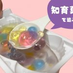 夏の遊び