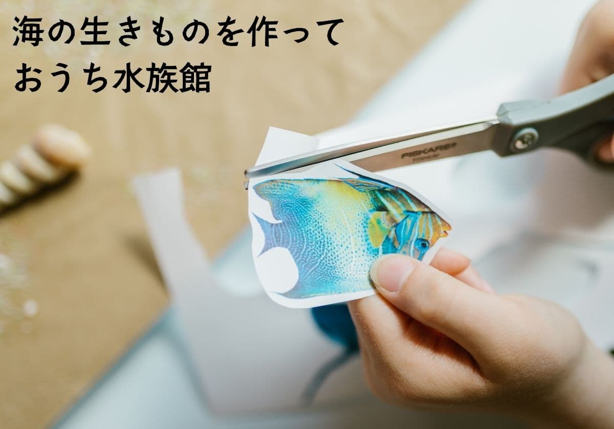 夏の遊び