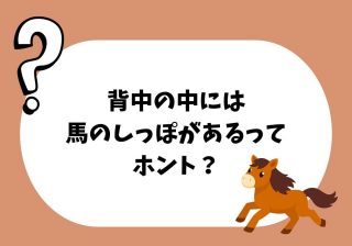 なぜ背骨に馬のしっぽが?人の成長がつくり出す「馬尾」の正体