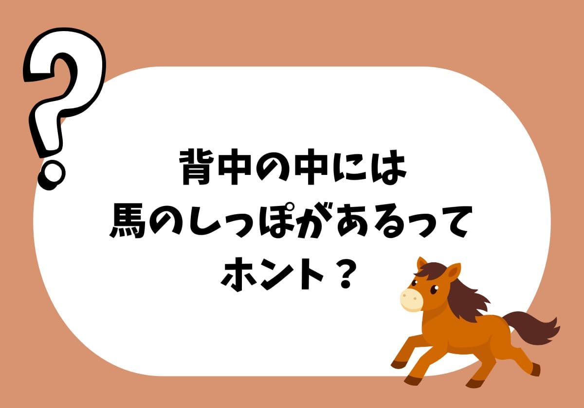 人体の不思議がわかる! すごすぎる体のつくり図鑑