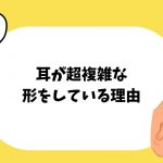 人体の不思議がわかる! すごすぎる体のつくり図鑑