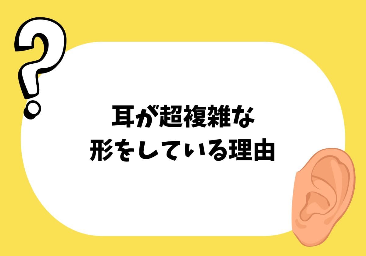 人体の不思議がわかる! すごすぎる体のつくり図鑑