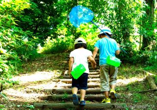 就学支援シートは発達が気になる子だけじゃない？ WISCについても校長先生に聞いた話（もしかしてうちの子、発達障害!? 第38話）