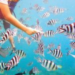 『子連れGUAM NEW EDITION』より