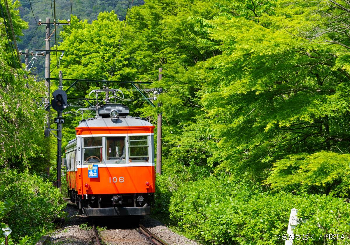 箱根登山鉄道と新緑